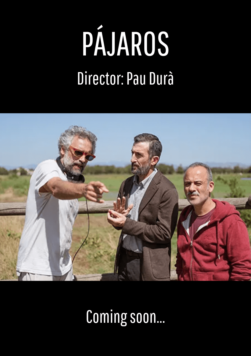 PÁJAROS